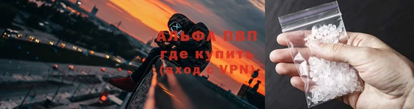 apvp Алексин