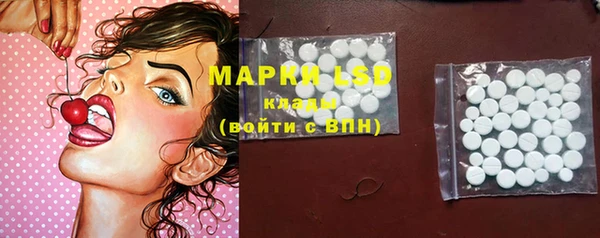 apvp Алексин
