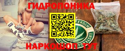 крисы Берёзовский