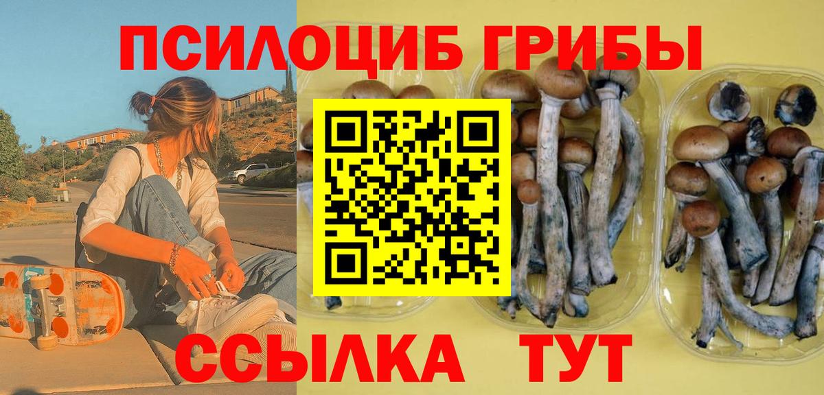 Псилоцибиновые грибы Psilocybine cubensis  Вход с VPN  Волгодонск 