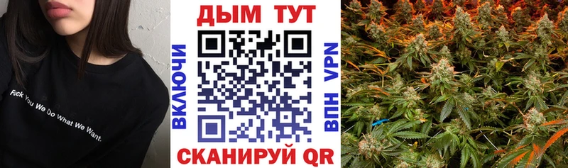 Канабис планчик  хочу наркоту  Волгодонск 
